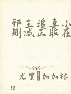 邪王追妻小说无删减正版在线阅读