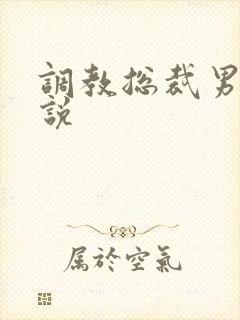 调教总裁男男小说