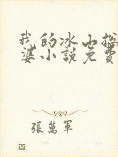 我的冰山总裁老婆小说免费阅读