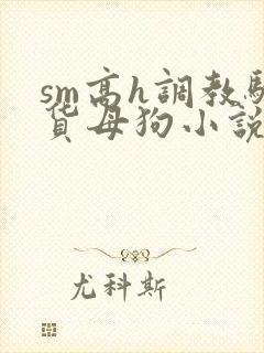 sm高h调教骚货母狗小说