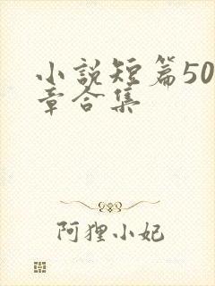 小说短篇500章合集封面