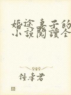 婚途妻子的秘密小说阅读全文封面