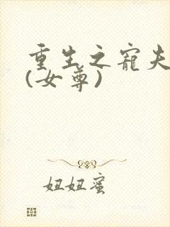 重生之宠夫无度(女尊)