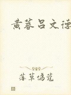 黄蓉吕文德h