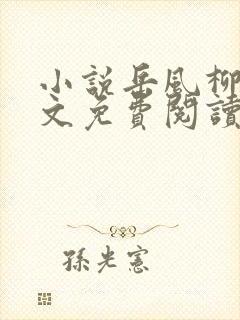 小说岳风柳萱全文免费阅读