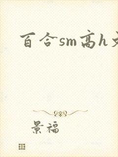 百合sm高h文