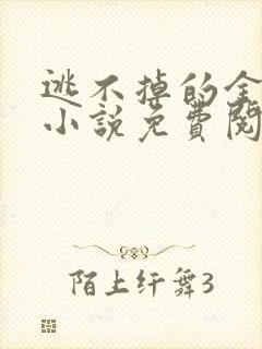 逃不掉的金丝雀小说免费阅读全文最新章节