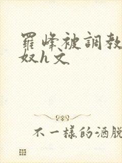 罗峰被调教成肉奴h文封面