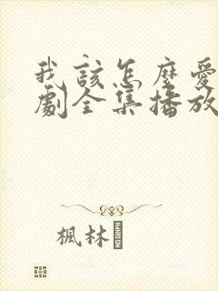 我该怎么爱你短剧全集播放