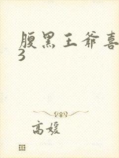 腹黑王爷喜当爹3