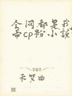 全网都是我和影帝cp粉小说txt封面
