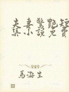 夫妻惊艳短篇合集小说免费阅读封面