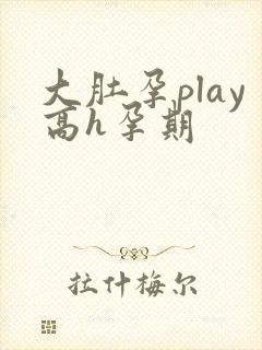 大肚孕play高h孕期