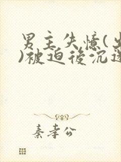 男主失忆(出轨)被迫后沉迷小说