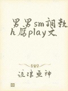 男男sm调教高h腐play文