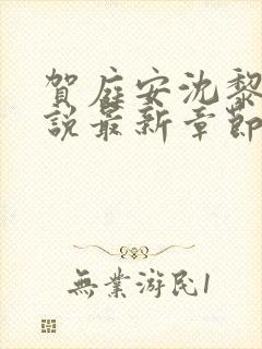 贺庭安沈黎初小说最新章节更新内容