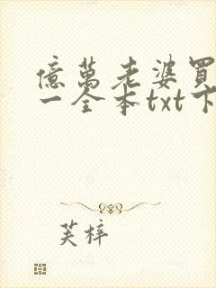 亿万老婆买一送一全本txt下载