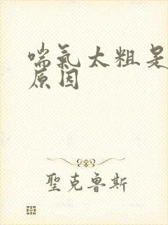 喘气太粗是什么原因