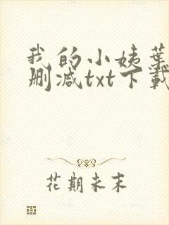我的小姨叶凡无删减txt下载封面