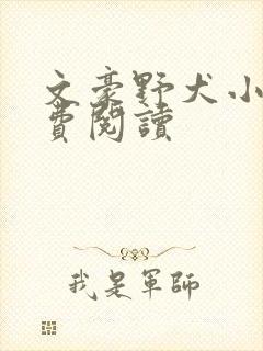 文豪野犬小说免费阅读