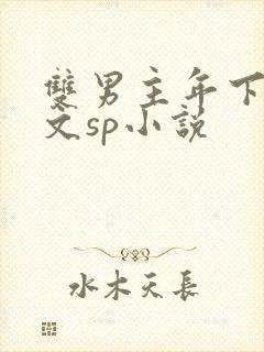 双男主年下训诫文sp小说