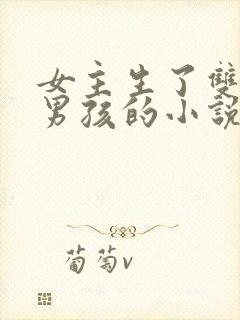 女主生了双胞胎男孩的小说