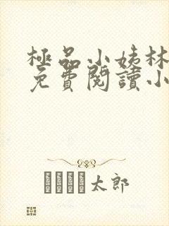 极品小姨林浩云免费阅读小说全文