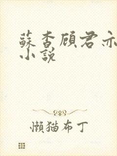 苏杳顾君亦阅读小说封面