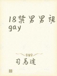 18禁男男视频gay