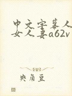 中文字幕人妻熟女人妻a62v网址
