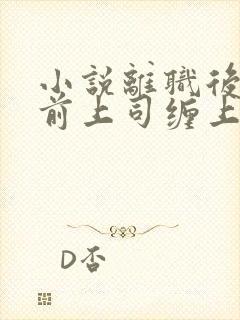 小说离职后我被前上司缠上免费阅读全文