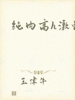 纯肉高h激情文