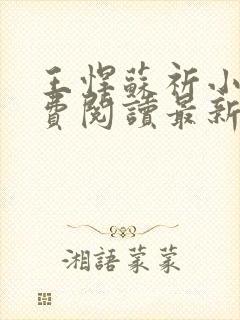 王悍苏祈小说免费阅读最新章节