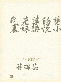 我老婆的双胞胎表妹乐悦小说