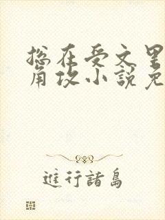 总在受文里抢主角攻小说免费阅读封面