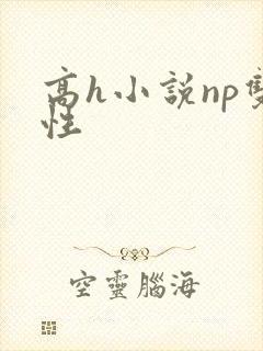 高h小说np双性封面