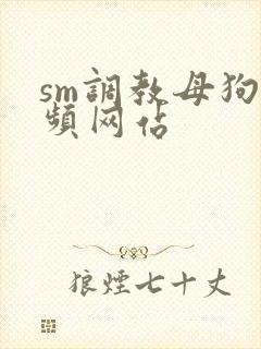 sm调教母狗视频网站