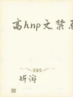 高hnp文禁忌封面