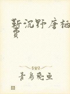 靳沉野唐栖雾免费