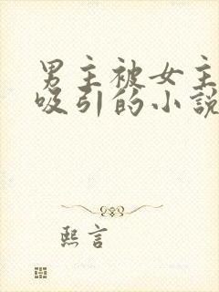 男主被女主深深吸引的小说