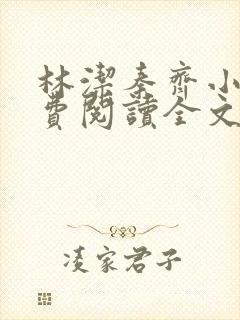 林洁秦齐小说免费阅读全文最新章节