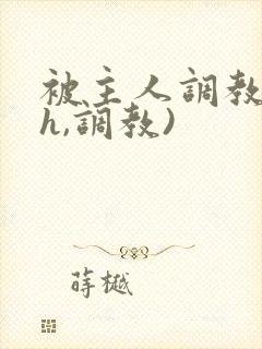 被主人调教(高h,调教)