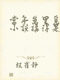 当年万里觅封侯小说讲得是什么