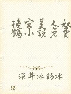 后宫美人奴闲云鹤小说免费阅读最新