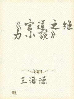 《官道之绝对权力小说》