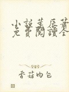 小说叶辰萧初然免费阅读全文