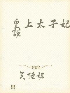 皇上太子妃h小说