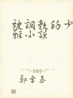 被调教的少妇张雅小说