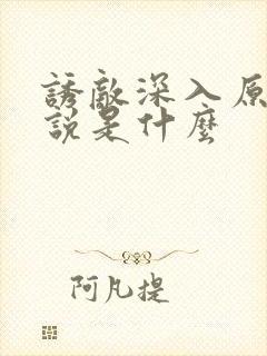 诱敌深入原著小说是什么
