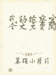 我的检察官先生全文免费阅读